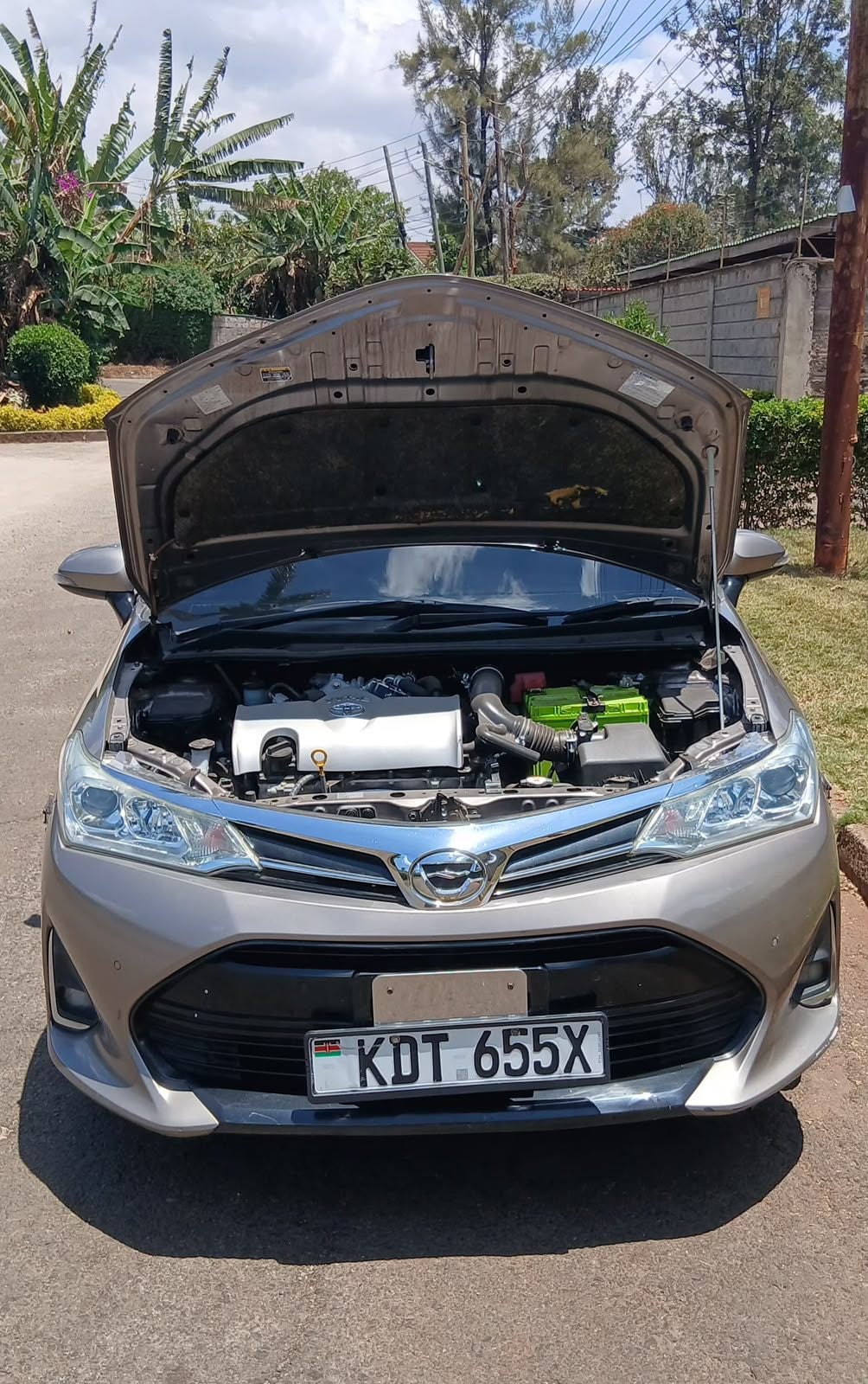 Toyota Axio - 12/13 for sale in Kenya | RmSg Kenya